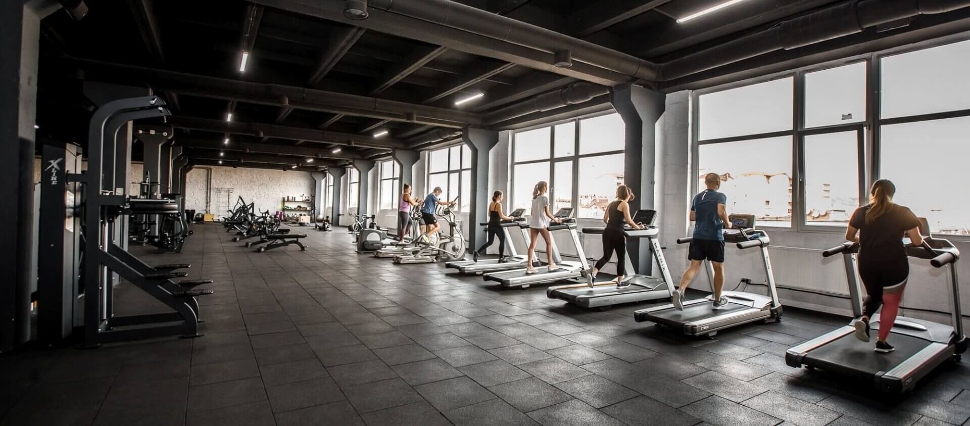  Zorviqu : Wellness in Every Movement